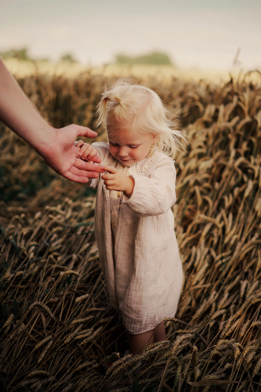 lamelka studio fotografia krosno